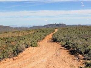 1250 ha Farm in Calitzdorp