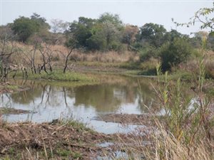 158.7 ha Land available in Welgevonden and surrounds