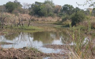 158.7 ha Land available in Welgevonden and surrounds