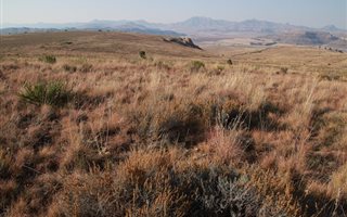 342 ha Farm in Ficksburg
