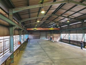 708 m² Industrial space in Alrode