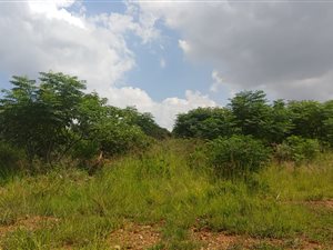 8565 m² Land available in Raslouw