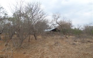 128 ha Farm in Sterkrivier