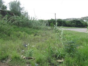 679 m² Land available in Cato Manor