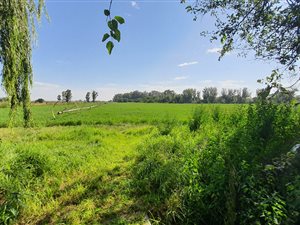 5.8 ha Farm in Bloemspruit