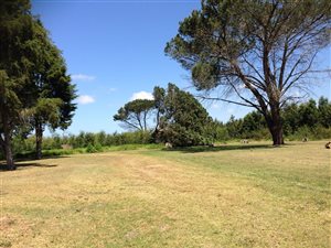 3798 m² Land available in Dormehlsdrift