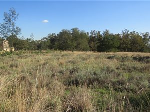2.2 ha Land available in Walkerville