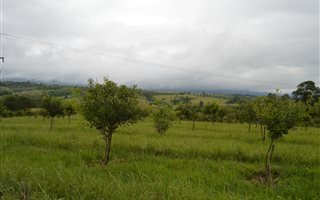 21 ha Farm in Barberton