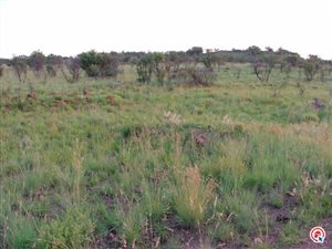 5.2 ha Land available in Kameeldrift