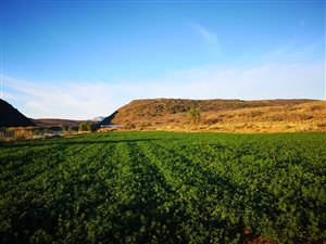 82 ha Farm in Oudtshoorn