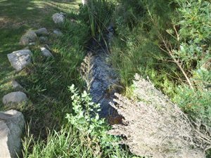 661 m² Land available in Bettys Bay