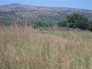6654 m² Land available in Brits
