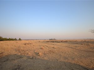 4.2 ha Land available in Hillside AH