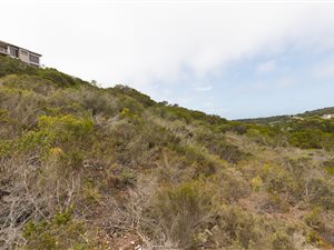 935 m² Land available in Island View