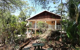 3 ha Farm in Tzaneen