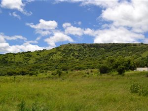 80.9 ha Farm in Eston