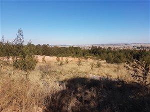 9989 m² Land available in Grootfontein Estate