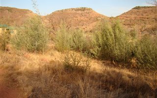 1003 m² Land available in Presidentsrus