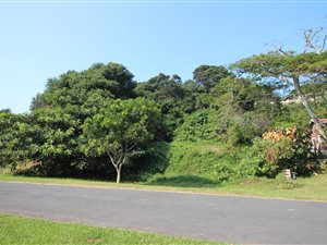 1103 m² Land available in Zinkwazi Beach