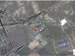 Smallholding in Excelsior