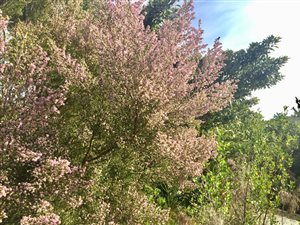 6.7 ha Land available in The Crags