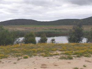 232 m² Land available in Robertson