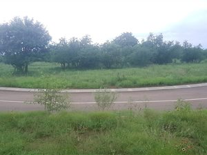1220 m² Land available in The Ridge Estate