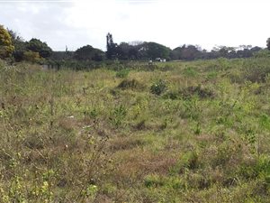 3786 m² Land available in Kwambonambi