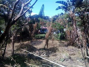1194 m² Land available in Trafalgar