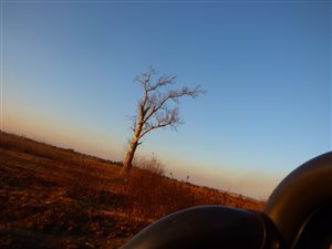 26.7 ha Farm in Boksburg West