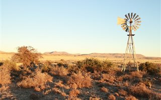 3624 ha Farm in Murraysburg