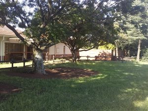 1 ha Farm in Sundra