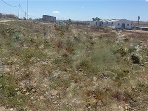 1779 m² Land available in Arcadia