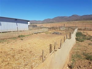 218 ha Farm in Oudtshoorn