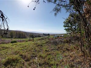 1034 m² Farm in Tesselaarsdal