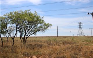 23.4 ha Land available in Rayton