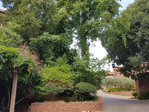 3 Bed House in Waterkloof Heights