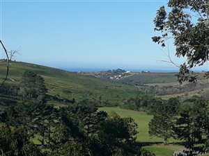 8.6 ha Farm in Plettenberg Bay