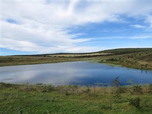 113 ha Farm in Grahamstown