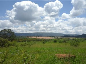 98 ha Farm in Modjadjiskloof