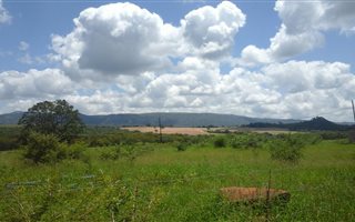 98 ha Farm in Modjadjiskloof