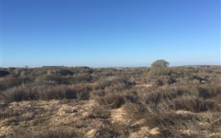 2.1 ha Land available in Long Acres