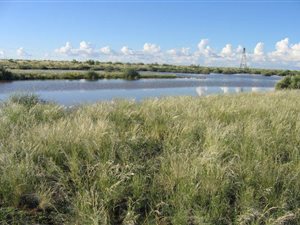 11848 ha Farm in Kenhardt