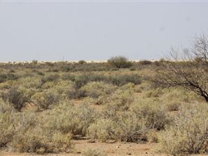 11848 ha Farm in Kenhardt