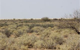 11848 ha Farm in Kenhardt