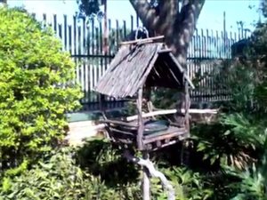 1 Bed House in Lyttelton Manor