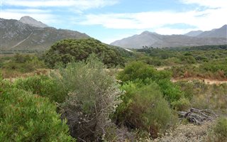 800 m² Land available in Pringle Bay