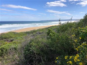 377 m² Land available in Kleinkrantz