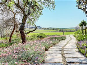 1335 m² Land available in Clara Anna Fontein Estate