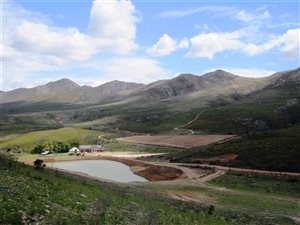 412 ha Farm in Kareedouw